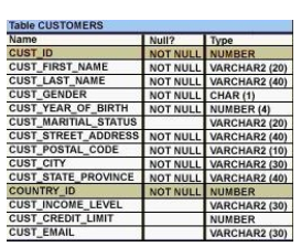 1Z0-051 dumps